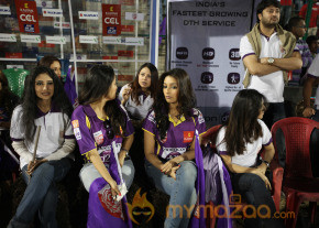  Telugu Warriors Vs Bengal Tigers CCL 3 Match Gallery  photo 116