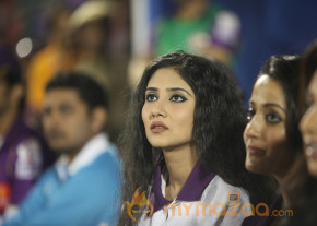  Telugu Warriors Vs Bengal Tigers CCL 3 Match Gallery  photo 35