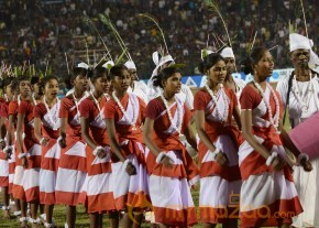 Telugu Warriors Vs Bengal Tigers CCL 3 Match Gallery  photo 102