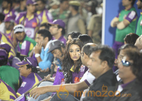  Telugu Warriors Vs Bengal Tigers CCL 3 Match Gallery  photo 13