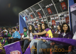  Telugu Warriors Vs Bengal Tigers CCL 3 Match Gallery  photo 26
