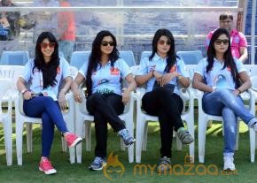 Telugu Warriors Vs Bhojpuri Dabanggs CCL 3 Match Gallery  photo 86