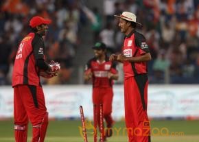 Telugu Warriors Vs Bhojpuri Dabanggs CCL 3 Match Gallery 