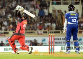 Telugu Warriors Vs Karnataka Bulldozers CCL 3 Match Gallery  photo 110