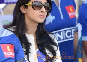 Telugu Warriors Vs Karnataka Bulldozers CCL 3 Match Gallery  photo 50