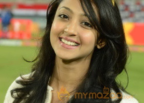 Telugu Warriors Vs Karnataka Bulldozers CCL 3 Match Gallery  photo 55