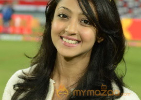 Telugu Warriors Vs Karnataka Bulldozers CCL 3 Match Gallery  photo 134