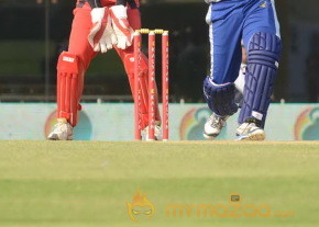 Telugu Warriors Vs Karnataka Bulldozers CCL 3 Match Gallery  photo 89