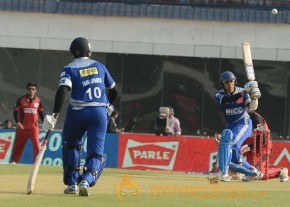 Telugu Warriors Vs Karnataka Bulldozers CCL 3 Match Gallery  photo 79
