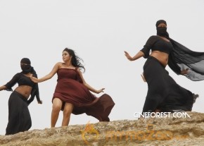 Telugulo Naaku Nachchani Padham Prema Movie Stills photo 59