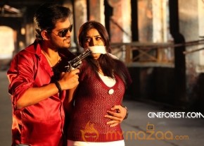 Telugulo Naaku Nachchani Padham Prema Movie Stills photo 24