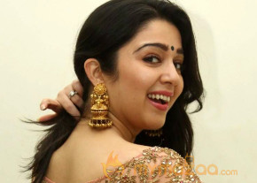 Temper Movie Audio Launch photo 12