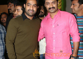 Temper Movie Audio Launch photo 8
