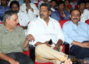 Temper Movie Audio Launch photo 14