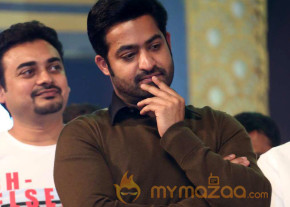 Temper Movie Audio Launch photo 16