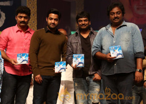 Temper Movie Audio Launch photo 7