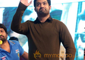 Temper Movie Audio Launch photo 13