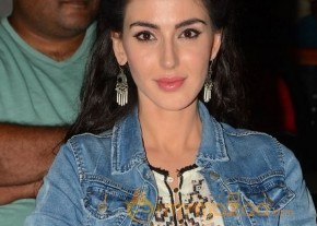 Thikka First Look Release Photos photo 42