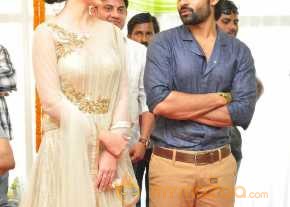 Thikka Movie Opening Stills photo 12