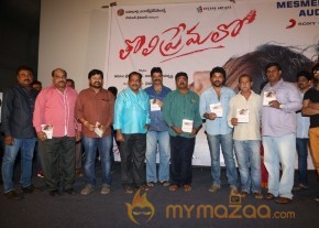 Tholi Premalo Movie Audio Launch Stills photo 10