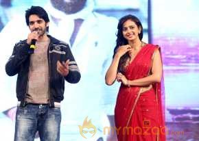 Tiger Movie Audio Launch
