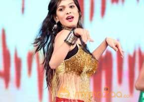 Tiger Movie Audio Launch photo 6