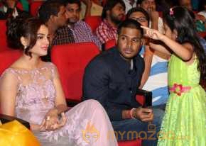 Tiger Movie Audio Launch photo 9