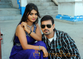 Toll free no 143 movie launch Gallery photo 39