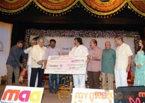 Tollywood Celebs at BN Reddy Memorial Awards Photos