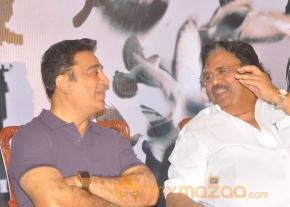 Tollywood Stars At Viswaroopam Success Meet  photo 18