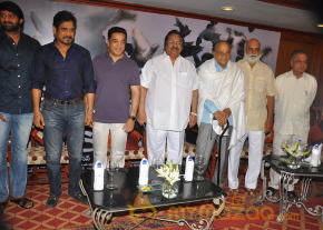 Tollywood Stars At Viswaroopam Success Meet  photo 68