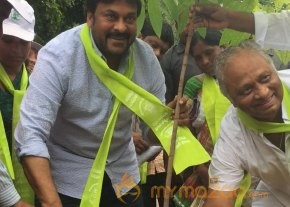 Tollywood Stars great initiative for Haritha Haram in Hyderabad
