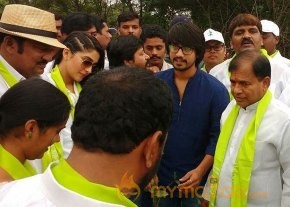 Tollywood Stars great initiative for Haritha Haram in Hyderabad photo 10
