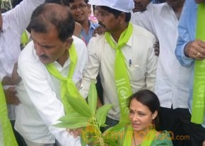 Tollywood Stars great initiative for Haritha Haram in Hyderabad photo 11