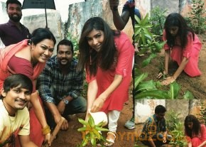 Tollywood Stars great initiative for Haritha Haram in Hyderabad photo 13