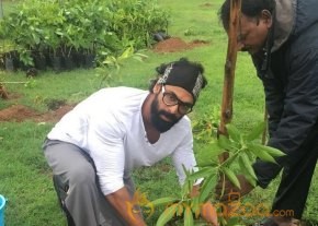 Tollywood Stars great initiative for Haritha Haram in Hyderabad photo 14