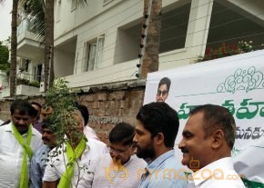 Tollywood Stars great initiative for Haritha Haram in Hyderabad photo 7