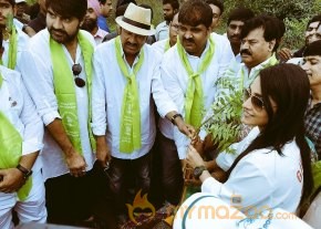 Tollywood Stars great initiative for Haritha Haram in Hyderabad photo 9