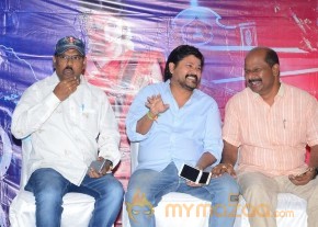 Trisha's Nayaki Release Press Meet pics photo 13