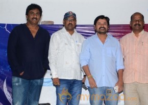 Trisha's Nayaki Release Press Meet pics photo 16