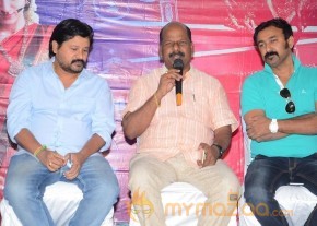 Trisha's Nayaki Release Press Meet pics