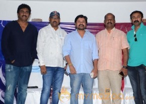 Trisha's Nayaki Release Press Meet pics photo 23