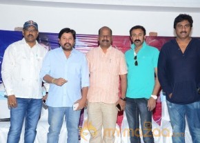 Trisha's Nayaki Release Press Meet pics photo 7