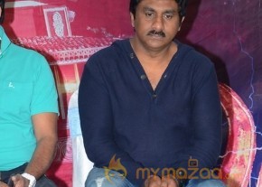 Trisha's Nayaki Release Press Meet pics photo 8