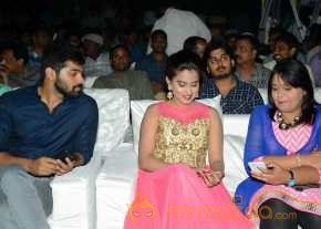 Tungabhadra Movie Audio Launch photo 7