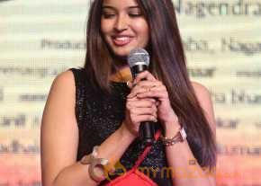Tuntari Movie Audio Launch photo 6