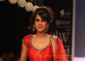 TV Celebs Walk the Ramp at IIJW 2013 photo 15