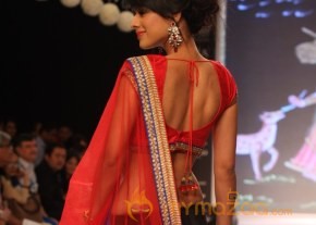 TV Celebs Walk the Ramp at IIJW 2013 photo 22