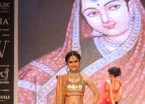 TV Celebs Walk the Ramp at IIJW 2013 photo 26