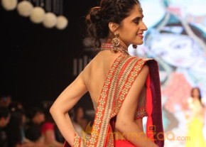TV Celebs Walk the Ramp at IIJW 2013 photo 17